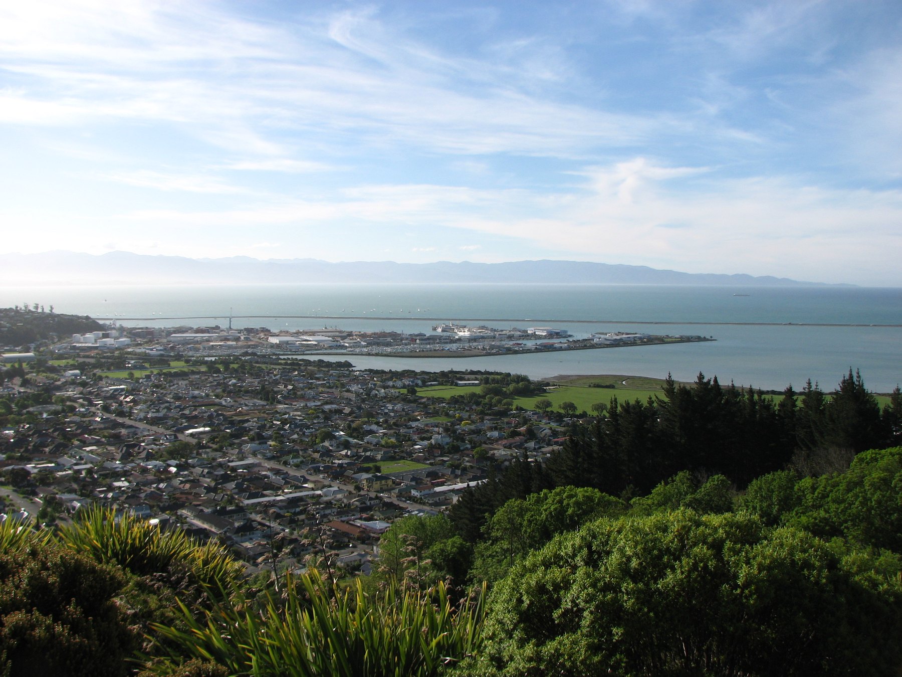 Nelson, New Zealand, and Tasman Bay viewed from a hillside